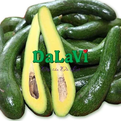 Bơ 034 Lâm Đồng