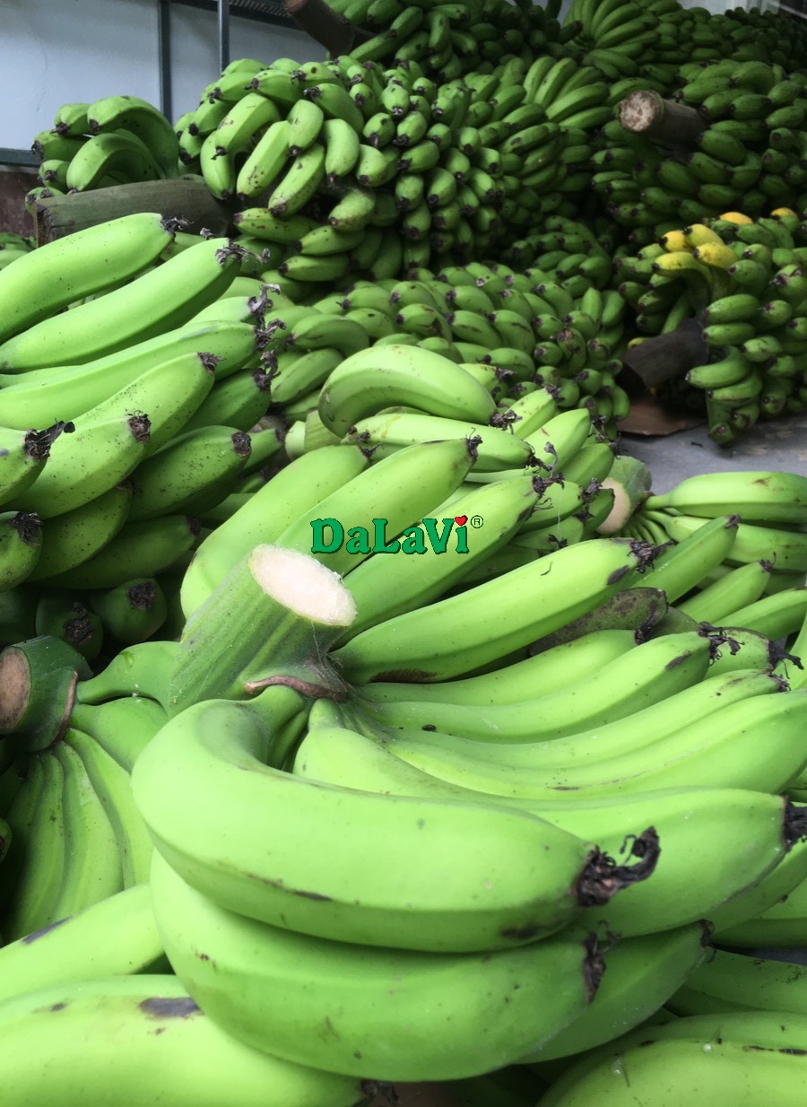 Bảo quản chuối Laba tươi Lâm Đồng lâu ngày, đúng cách