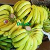 Chuối Laba tươi