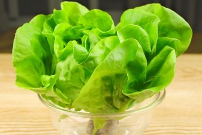 Vì sao nên ăn rau thủy canh Đà Lạt?