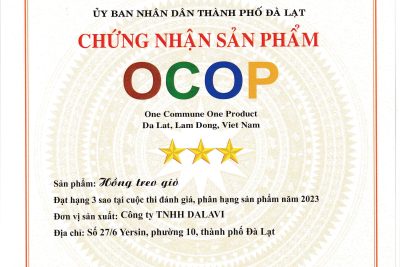 Mua hồng treo gió giá sỉ Đà Lạt