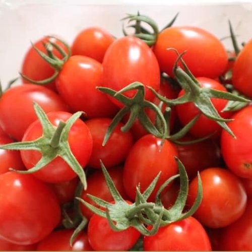 Cà chua cherry đỏ Đà Lạt