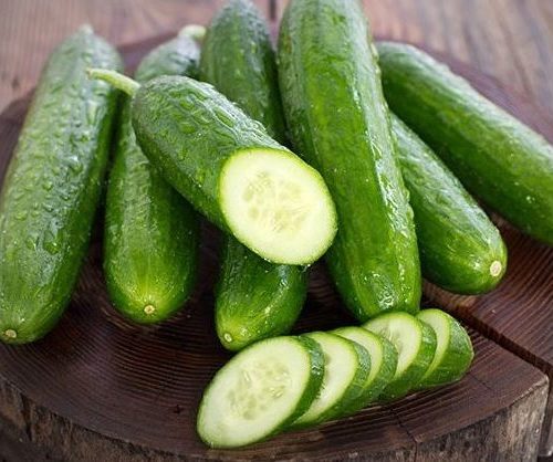 Dưa leo baby Đà Lạt