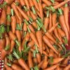 Cà rốt baby Đà Lạt