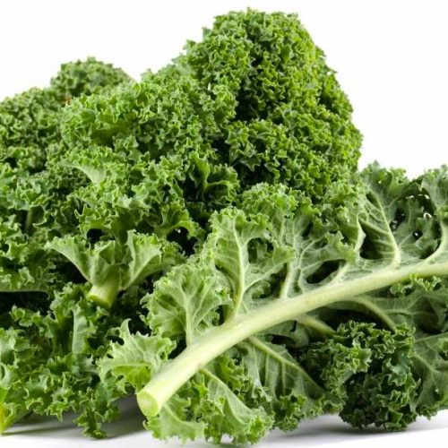 Cải Kale Đà Lạt