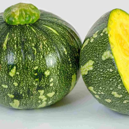 Bí Nhật baby Đà Lạt