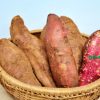 Khoai lang mật Đà Lạt