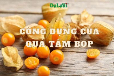 Công dụng của quả tầm bóp có thực sự tốt không?