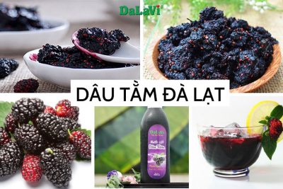 Dâu tằm Đà Lạt – Loại quả của rừng núi