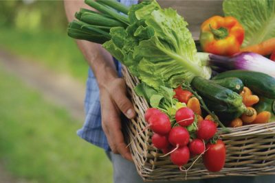 Ăn rau bị ngộ độc thực phẩm do tồn dư chất hóa học
