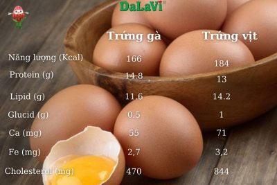 Ăn trứng nhiều có tốt không – Ăn thế nào cho phù hợp?
