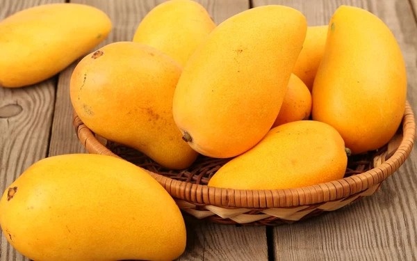 Hàm lượng chất xơ trong xoài giúp hệ tiêu hóa hoạt động tốt hơn