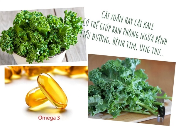 12-loi-ich-tuyet-voi-cua-cai-xoan-kale-doi-voi-suc-khoe2