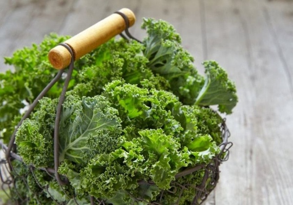 12-loi-ich-tuyet-voi-cua-cai-xoan-kale-doi-voi-suc-khoe3