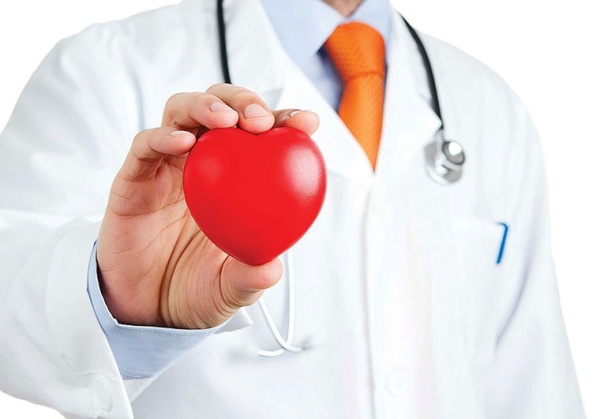 Sữa ong chúa chứa nhiều protein có tác dụng làm giảm cholesterol trong máu