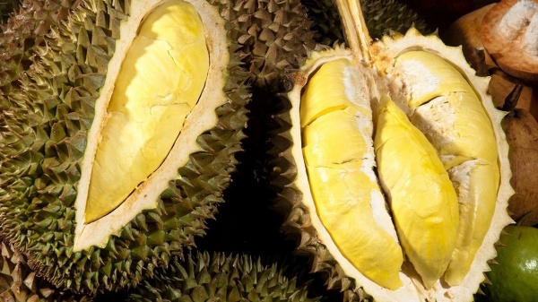 Hạt sầu riêng có thể ăn được sau khi chiên, nướng hoặc luộc 