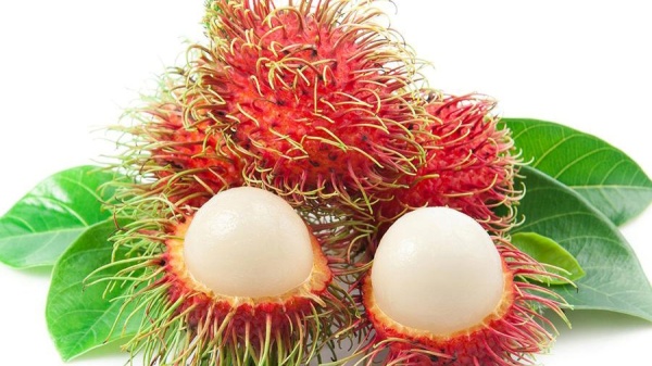 Mỗi năm, chôm chôm cho 1 hoặc 2 mùa trái và chín từ tháng 5 đến tháng 8.