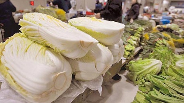 ban-da-biet-cach-phan-biet-cac-loai-rau-cu-viet-nam-va-trung-quoc-chua17