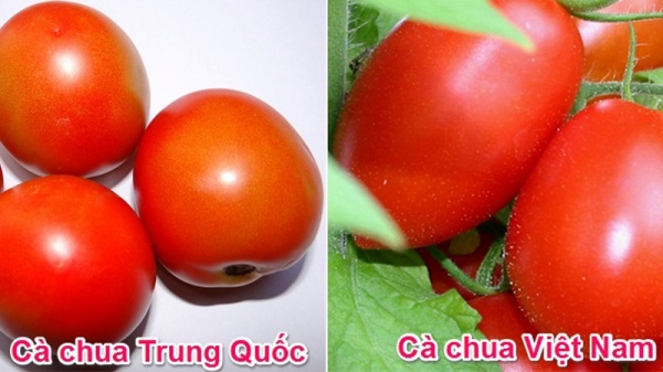 ban-da-biet-cach-phan-biet-cac-loai-rau-cu-viet-nam-va-trung-quoc-chua20