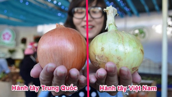 ban-da-biet-cach-phan-biet-cac-loai-rau-cu-viet-nam-va-trung-quoc-chua4