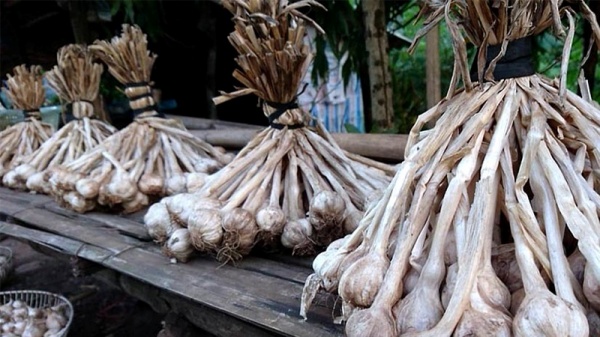 ban-da-biet-cach-phan-biet-cac-loai-rau-cu-viet-nam-va-trung-quoc-chua5