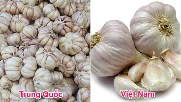 ban-da-biet-cach-phan-biet-cac-loai-rau-cu-viet-nam-va-trung-quoc-chua6