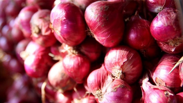 ban-da-biet-cach-phan-biet-cac-loai-rau-cu-viet-nam-va-trung-quoc-chua7