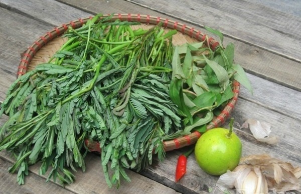 Rau nhút điều trị huyết áp cao