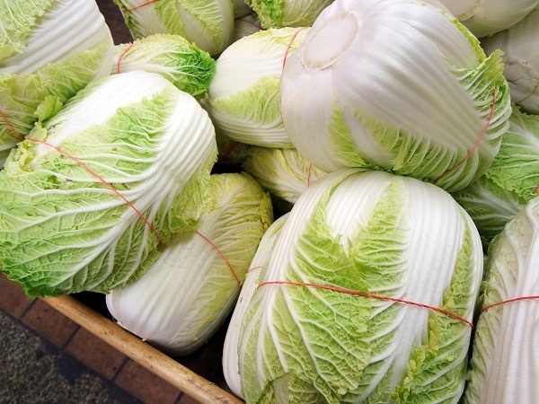 meo-che-bien-kim-chi-cai-thao-ngon-dung-chuan-han-quoc2