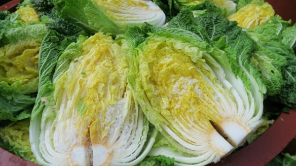 Mua sỉ rau Đà Lạt với đa dạng rau thủy canh, rau gia vị