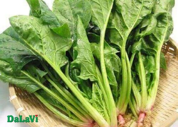 nen-mua-rau-cu-da-lat-o-dau-dia-chi-mua-nong-san-sach-o-da-lat2