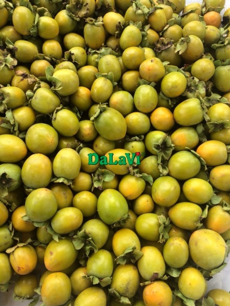 trai-cay-da-lat-gia-si-mua-trai-cay-da-lat-gia-si-o-dau1