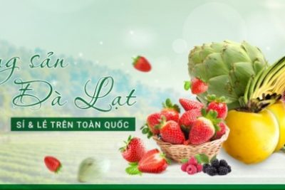 Vì sao nên lựa chọn hoa quả tươi và nông sản sạch ở DaLaVi?