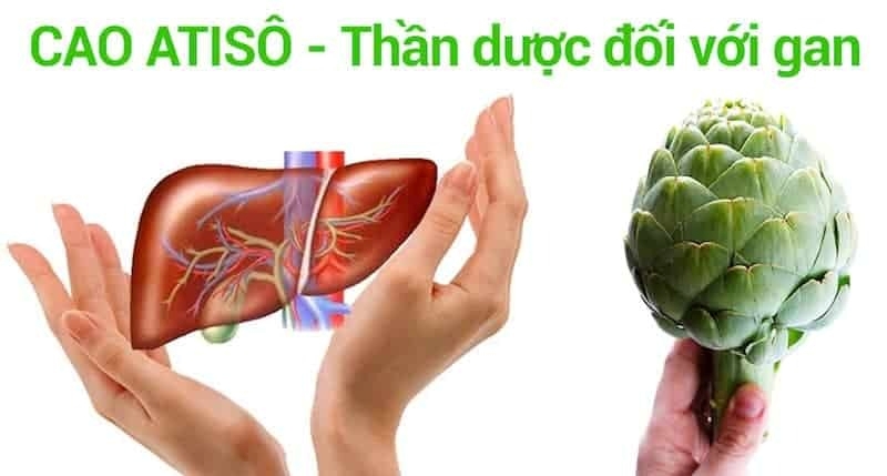 Uống nước atiso không đúng cách thì chẳng hiệu quả gì