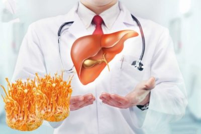 TOP 8 công dụng của đông trùng hạ thảo khô