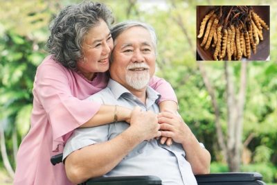 Người lớn tuổi có nên dùng đông trùng hạ khô không?