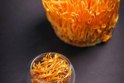 Nên sử dụng đông trùng hạ thảo tươi hay khô?