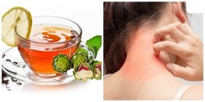 khong-con-lo-lang-di-ung-voi-tra-tui-loc-atiso2