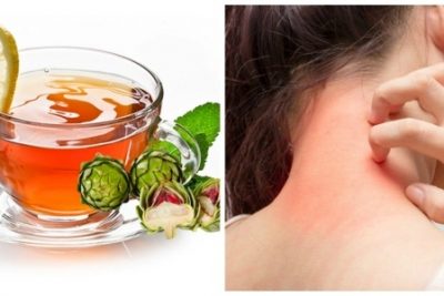 Không còn lo lắng dị ứng với trà túi lọc atiso