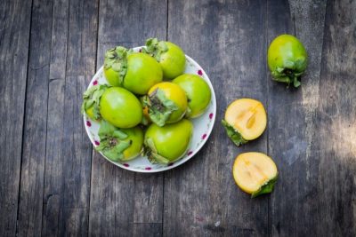 Kinh nghiệm tham quan và mua hồng giòn Đà Lạt tại vườn