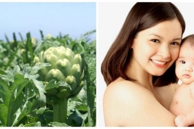 Mẹ bầu nên uống trà atiso? Lưu ý dành cho mẹ bầu khi uống trà Astiso
