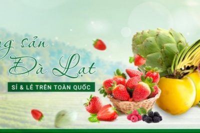 Địa chỉ mua dâu tây Đà Lạt uy tín tại Hà Nội