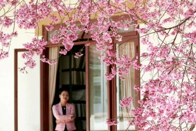 Đà Lạt: Góc nhìn từ ô cửa biệt thự