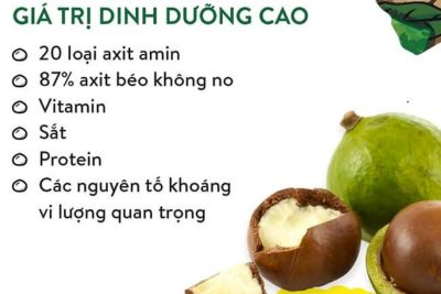 Công dụng hỗ trợ người ăn kiêng theo chế độ Keto của hạt Macca