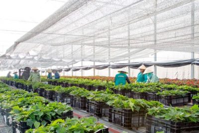 Giải pháp thu hút đầu tư trực tiếp nước ngoài vào Lâm Đồng năm 2022