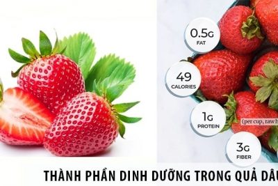 Giá trị dinh dưỡng trong 1kilogram dâu tây Đà Lạt