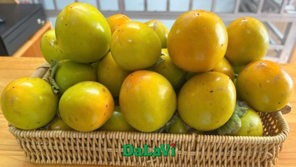 Hồng giòn Đà Lạt - Hình ảnh 4