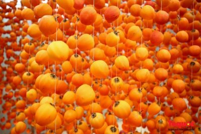 Hồng treo gió: món quà dung dị mùa Thu Đông Đà Lạt