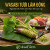 Củ Wasabi tươi