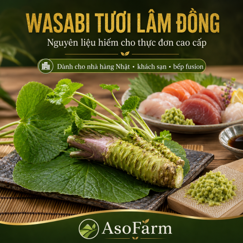 Củ Wasabi tươi